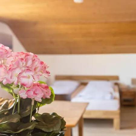 Appartement Haus Unterseeblick - Sonnenaufgang *